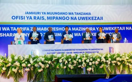 Government Initiates Preparation of the National Investment Report 2024