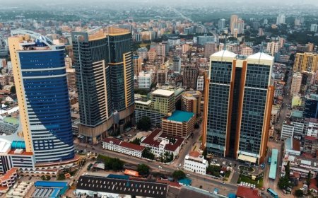 Tanzanian launches impact assessment report on ease of doing business
