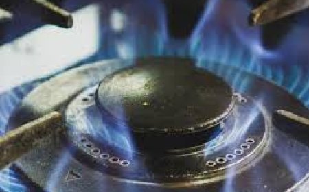 Strategy charts path to adaption of clean cooking methods