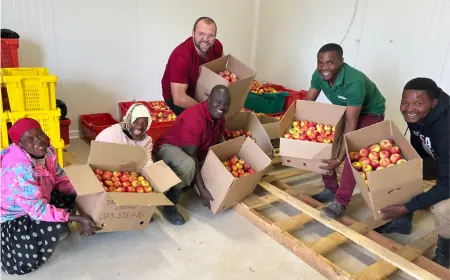 Exploring Organic Apple Farming in Tanzania: A visit to Tam Tam Tanzania
