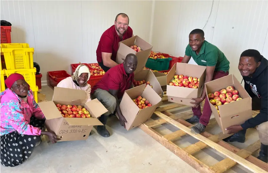 Exploring Organic Apple Farming in Tanzania: A visit to Tam Tam Tanzania