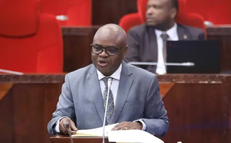 Tanzania aims for robust 6pc growth, despite currency pressures and rising debt
