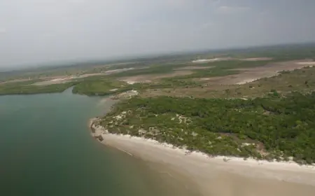 palacha dream city: your coastal paradise awaits!