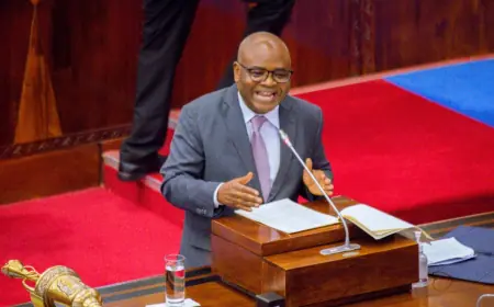 Tanzanian Parliament officially adopts ambitious Vision2050 document