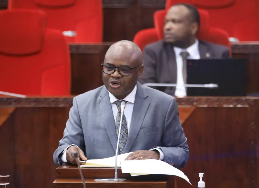 Tanzania aims for robust 6pc growth, despite currency pressures and rising debt
