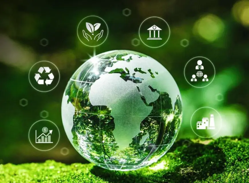 CEOs champion green finance as Tanzania accelerates climate resilience agenda