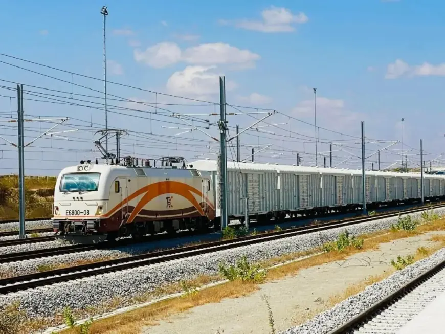 Tanzania flags off electric freight train operations