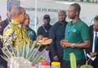 Kikwete urges intensified pineapple research to boost agricultural productivity