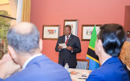 Tanzania, Spain seek more investments, economic, trade cooperation