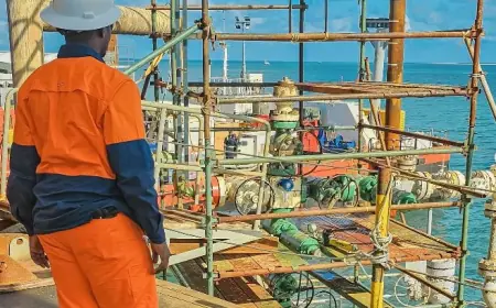 Natural gas drives energy ambitions as govt expands production, infrastructure