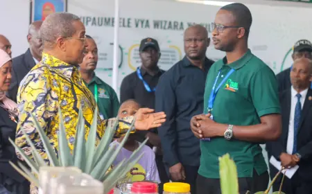 Kikwete urges intensified pineapple research to boost agricultural productivity