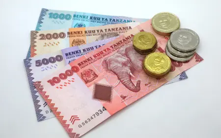 Tanzania’s central bank injects Sh482.8bn into the economy in one month