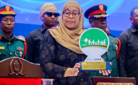 Tanzania's President launches Dira 2050, stresses execution
