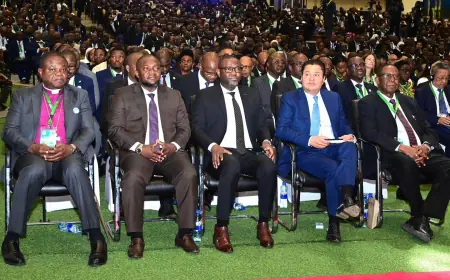 Dira 2050: President Samia backs local private sector’s call to play large role in megaprojects