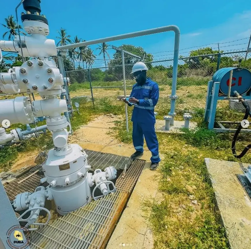 Three gas wells to be drilled at Mnazi Bay in Tanzania after a 10-year hiatus