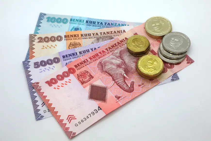 Tanzania’s central bank injects Sh482.8bn into the economy in one month