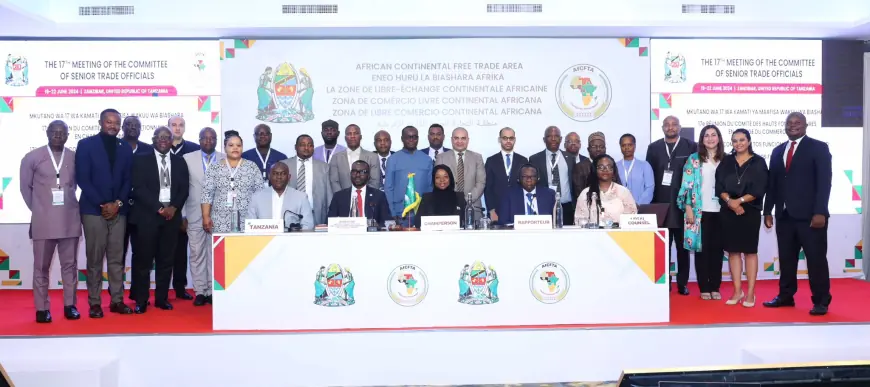 Africa's next trade giant? Tanzania crafts AfCFTA implementation strategy