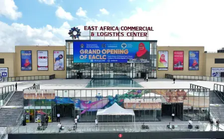 Tanzania opens Chinese-backed trade hub as regional commercial ambitions grow