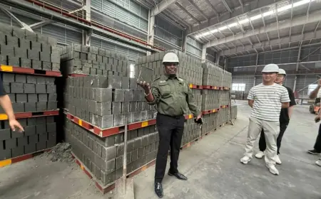 Tanzania moves to cement position in Africa’s drive for local mineral processing