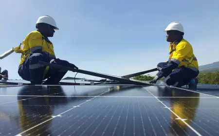 Tanzania’s rural electrification agency plans solar power rollout of remote villages