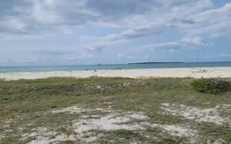 BEACHFRONT PLOT FOR SALE – KUNDUCHI, DAR ES SALAAM