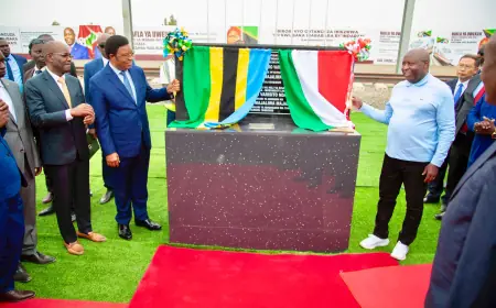 Dar es Salaam–Burundi SGR: Forging a new trade artery for the Great Lakes