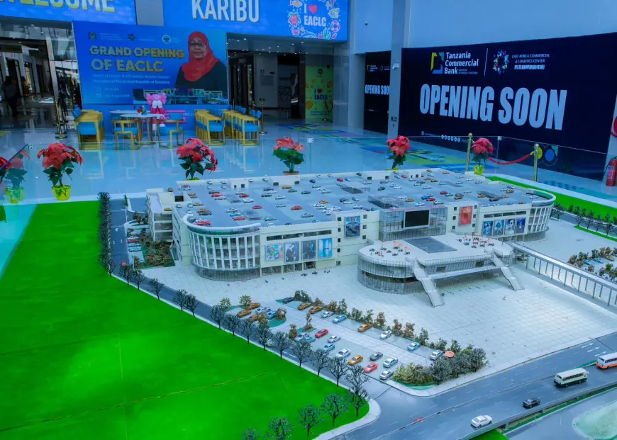 Tanzania opens Chinese-backed trade hub as regional commercial ambitions grow