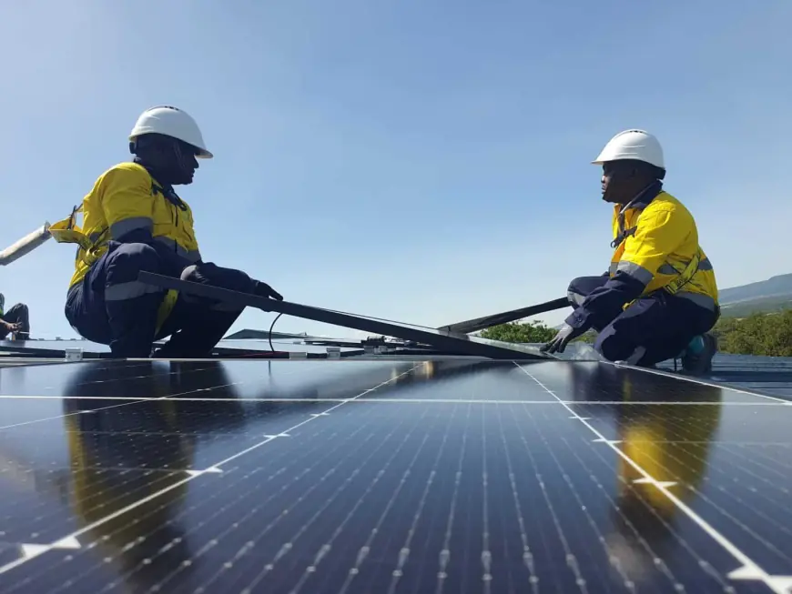 Tanzania’s rural electrification agency plans solar power rollout of remote villages
