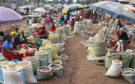 Beans prices drop as other staples stay firm in Tanzania