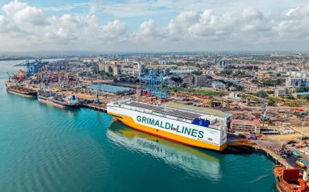 Dar es Salaam Port receives state-of-the-art car carrier from China