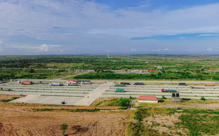 TISEZA urges investors to seize opportunities in Nala, Dodoma