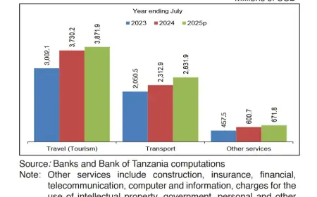 Tourism maintains lead in Tanzania’s foreign exchange earnings
