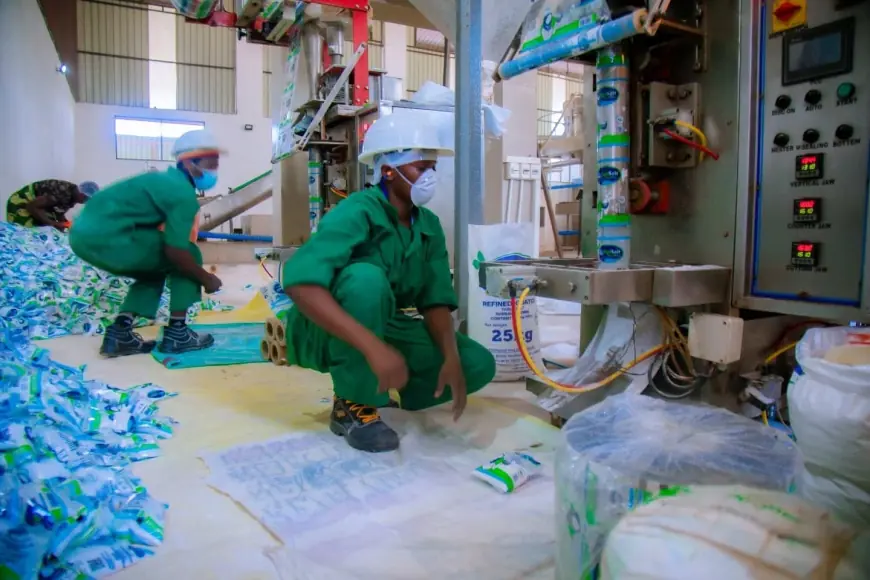 Tanga salt factory boosts smallholder incomes, expands regional markets