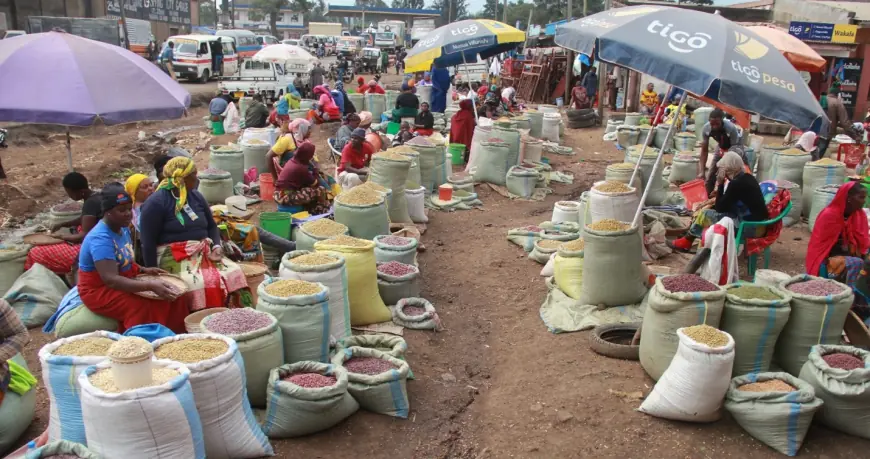 Beans prices drop as other staples stay firm in Tanzania