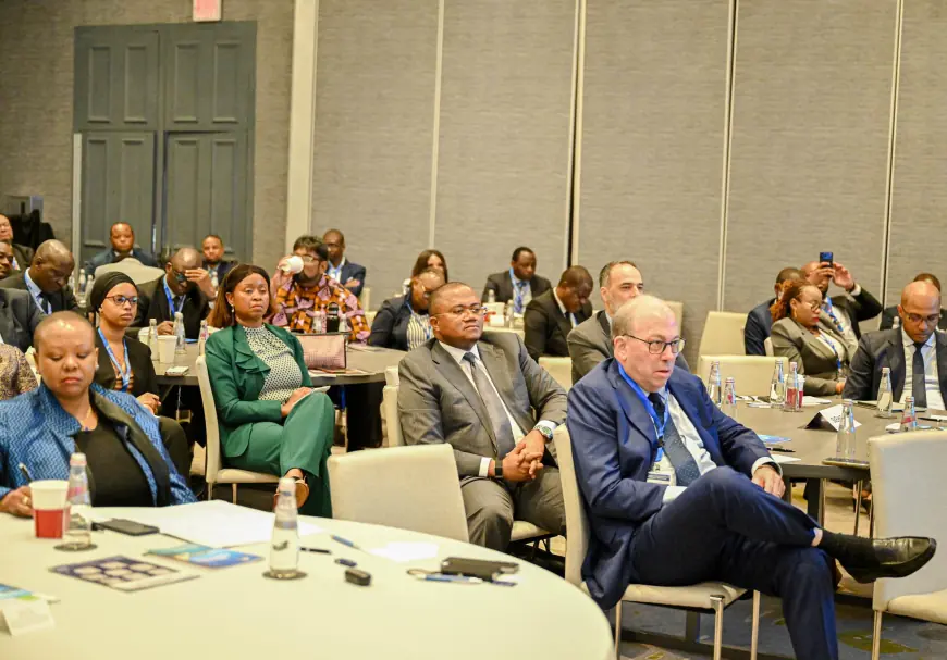 How Tanzania’s bid to become east and central Africa’s economic powerhouse is taking shape