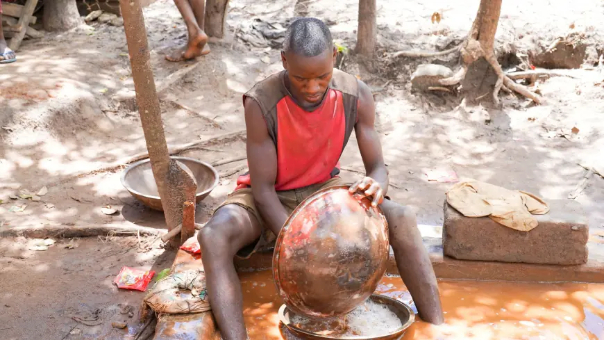 Are Tanzania’s expanding mineral markets a new chance for inclusion?