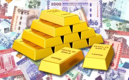 Tanzania's central bank seeks Chinese help in boosting gold, foreign reserve management