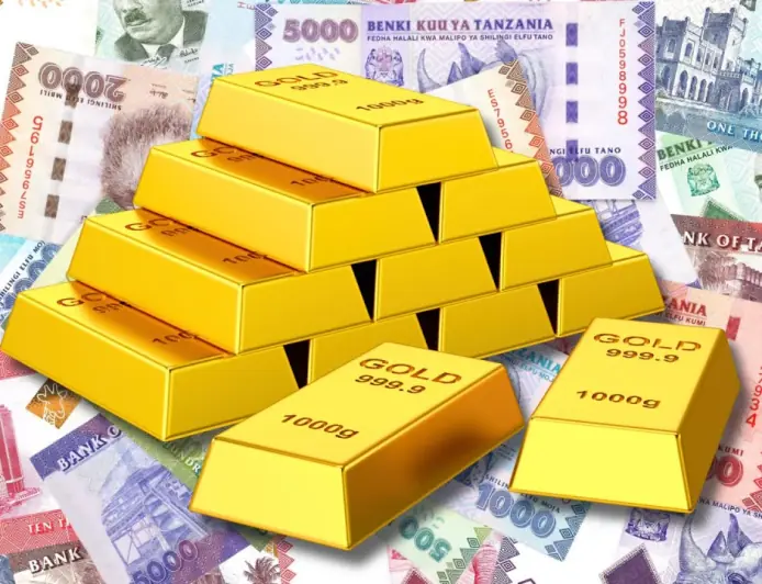 Tanzania's central bank seeks Chinese help in boosting gold, foreign reserve management