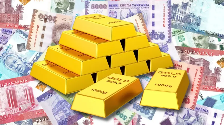 Tanzania's central bank seeks Chinese help in boosting gold, foreign reserve management