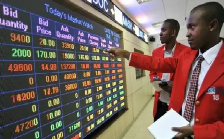 Dar es Salaam Stock Market regains momentum after post-election disruptions
