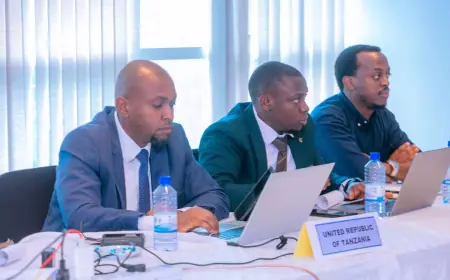 Tanzania, Rwanda begin talks to link national payment switches