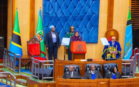 President Samia: Tanzanian government continues with negotiations on LNG project continuing