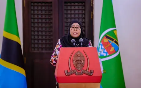 President Samia names new Cabinet, retains 17 ministers
