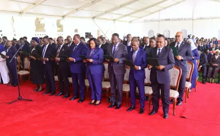 Tanzania to use natural resources as collateral for development financing, President Samia says