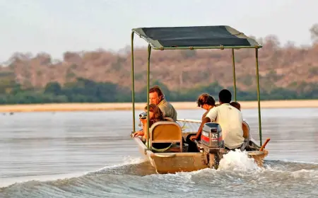 TANAPA board invites investment in Nyerere National Park to boost southern tourism