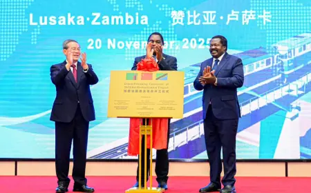 Tanzania, Zambia, China launch Tazara's 21st-century future