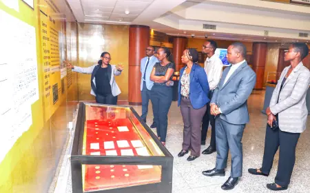 Rwandan central bank team studies Bank of Tanzania’s in-house ICT systems