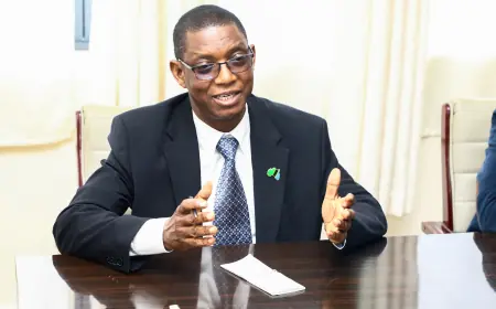 Bank of Tanzania buys 15.37 tonnes of gold as it seeks to boost reserve, shilling value