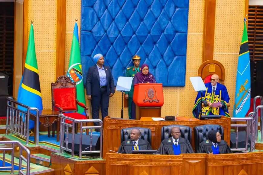 President Samia: Tanzanian government continues with negotiations on LNG project continuing