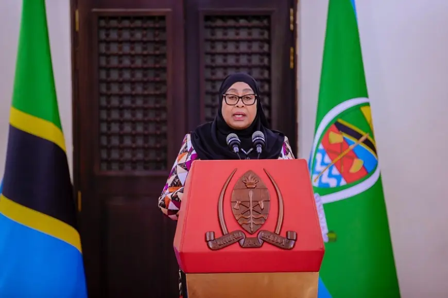 President Samia names new Cabinet, retains 17 ministers